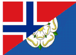 norskyorkie