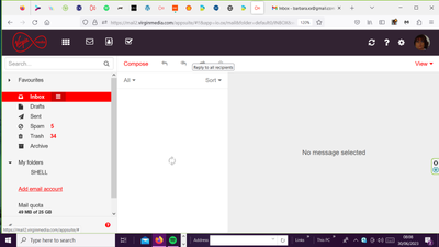 Barbraella_1-1688108912412.png