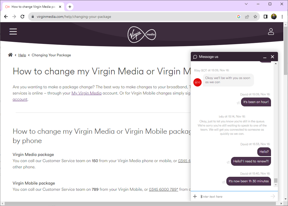 Virgin2.png