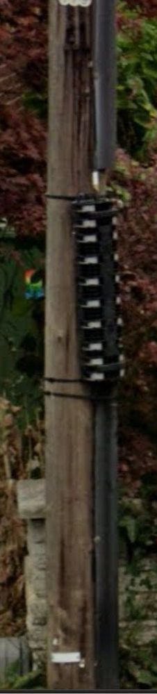 pole 1.jpg