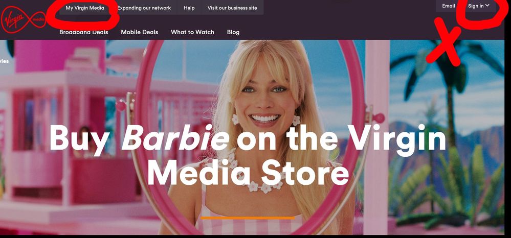 Virgin 1