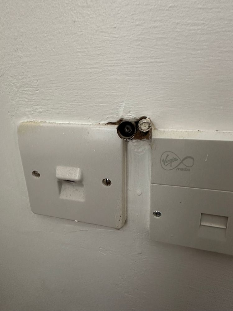 Everything that is on that wall