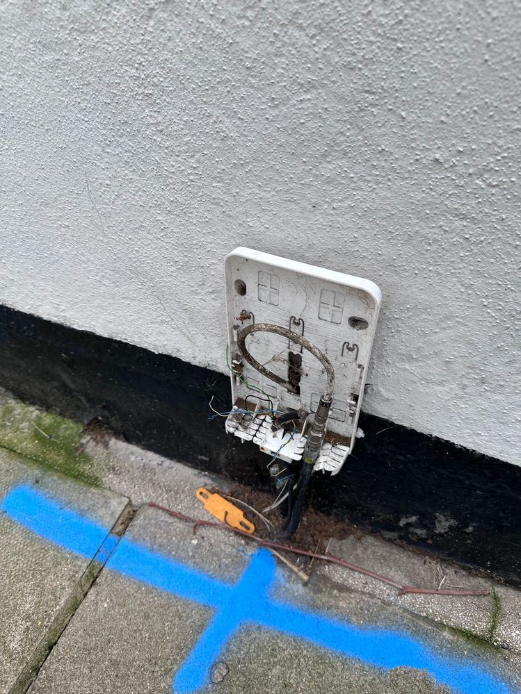 Virgin box.jpg