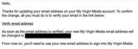 virgin1.jpg