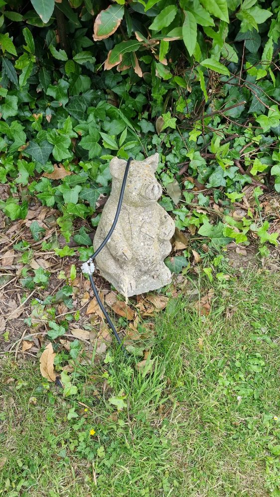 unburied and cut section near wall