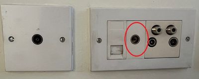 faceplate.jpg
