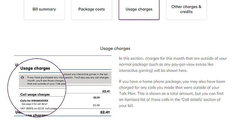 usage charges.jpg