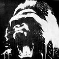 petenice's avatar