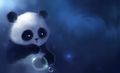 Wildfruit's avatar