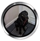 DavidJWalker's avatar