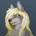 chaoshusky's avatar