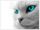 Mortisha2001's avatar