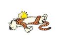 pgn's avatar