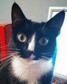 Marble's avatar