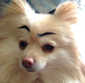 YetiZ's avatar