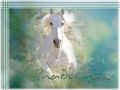shadowfax's avatar