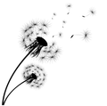 JanW1's avatar