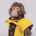 TomFryett's avatar