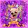Dirtybird88's avatar