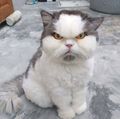 dbrjrievcdhdkeb's avatar
