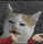 SAF22's avatar