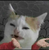 SAF22's avatar