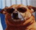 Nost97's avatar