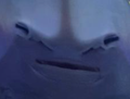 chickensticks's avatar