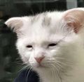 missmmarquardt's avatar