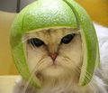 Darksideofmoon's avatar