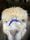 MTS1's avatar