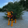 neildotwilliams's avatar