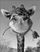 CDLH's avatar