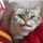 alanplum241276's avatar