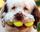 Brain_Dead's avatar