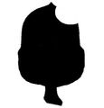 terry1951's avatar