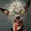 Exorcist74's avatar