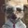 Geoff_H's avatar