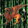 griffin's avatar